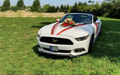 Ford Mustang (Szabolcs)